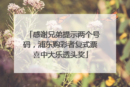 感谢兄弟提示两个号码，浦东购彩者复式票喜中大乐透头奖