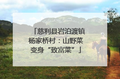 慈利县岩泊渡镇杨家桥村：山野菜变身“致富菜”
