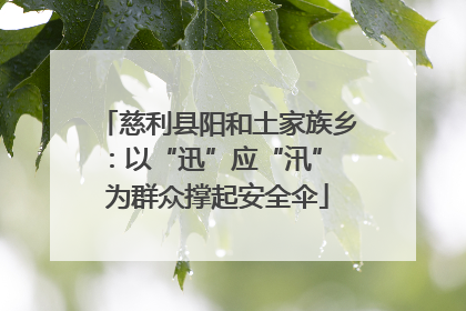 慈利县阳和土家族乡：以“迅”应“汛” 为群众撑起安全伞