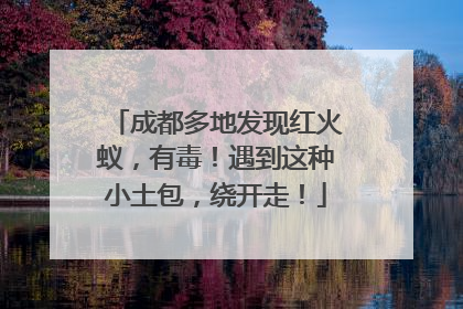 成都多地发现红火蚁，有毒！遇到这种小土包，绕开走！