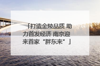 打造金陵品质 助力首发经济 南京迎来首家“胖东来”