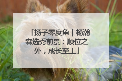 扬子零度角｜杨瀚森选秀前景：顺位之外，成长至上