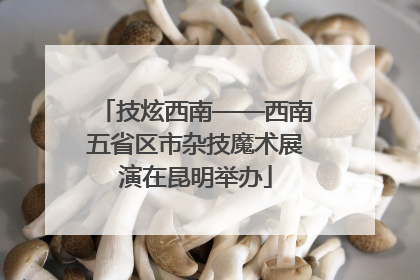 技炫西南——西南五省区市杂技魔术展演在昆明举办
