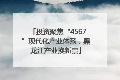投资聚焦“4567”现代化产业体系，黑龙江产业换新景