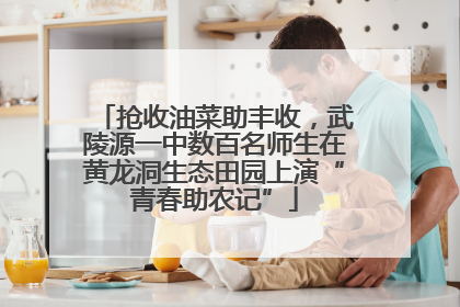 抢收油菜助丰收，武陵源一中数百名师生在黄龙洞生态田园上演“青春助农记”
