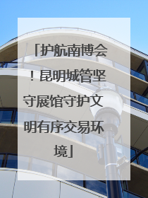 护航南博会！昆明城管坚守展馆守护文明有序交易环境