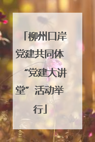 柳州口岸党建共同体“党建大讲堂”活动举行