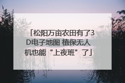 松阳万亩农田有了3D电子地图 植保无人机也能“上夜班”了