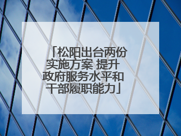 松阳出台两份实施方案 提升政府服务水平和干部履职能力
