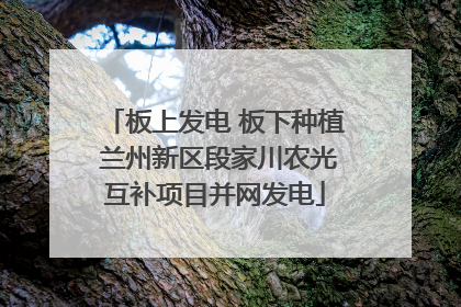 板上发电 板下种植 兰州新区段家川农光互补项目并网发电