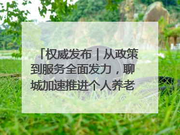 权威发布｜从政策到服务全面发力，聊城加速推进个人养老金制度落地