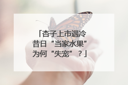 杏子上市遇冷 昔日“当家水果”为何“失宠”？