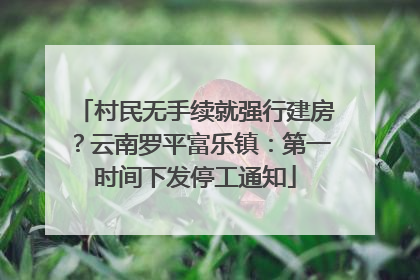 村民无手续就强行建房？云南罗平富乐镇：第一时间下发停工通知