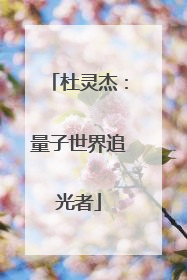 杜灵杰：量子世界追光者