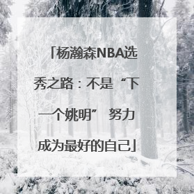 杨瀚森NBA选秀之路：不是“下一个姚明” 努力成为最好的自己