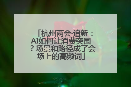 杭州两会·追新：AI如何让消费突围？场景和路径成了会场上的高频词