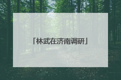 林武在济南调研