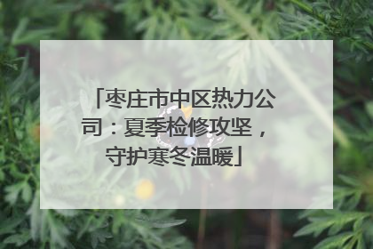 枣庄市中区热力公司：夏季检修攻坚，守护寒冬温暖