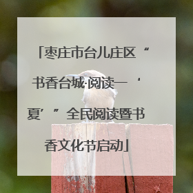 枣庄市台儿庄区“书香台城·阅读一‘夏’”全民阅读暨书香文化节启动