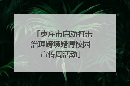 枣庄市启动打击治理跨境赌博校园宣传周活动