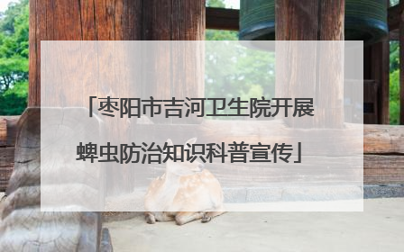 枣阳市吉河卫生院开展蜱虫防治知识科普宣传