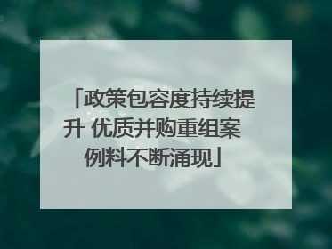 政策包容度持续提升 优质并购重组案例料不断涌现