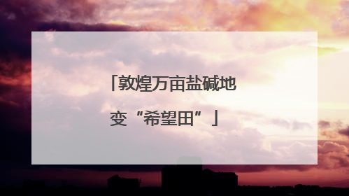 敦煌万亩盐碱地变“希望田”