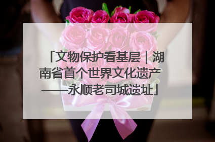 文物保护看基层｜湖南省首个世界文化遗产——永顺老司城遗址