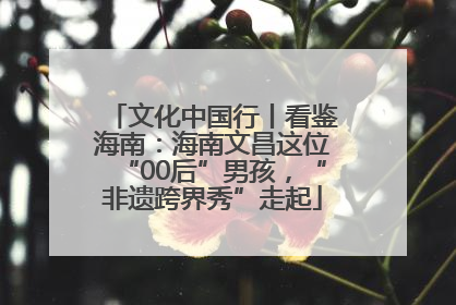 文化中国行丨看鉴海南：海南文昌这位“00后”男孩，“非遗跨界秀”走起