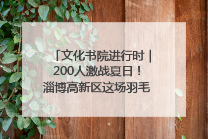 文化书院进行时｜200人激战夏日！淄博高新区这场羽毛球比赛太酷