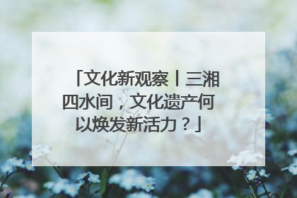 文化新观察丨三湘四水间，文化遗产何以焕发新活力？