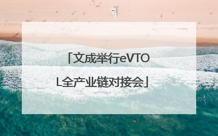 文成举行eVTOL全产业链对接会