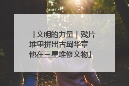 文明的力量｜残片堆里拼出古蜀华章 他在三星堆修文物