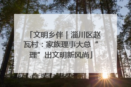 文明乡伴｜淄川区赵瓦村：家族理事大总“理”出文明新风尚