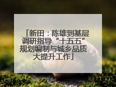 新田：陈雄到基层调研指导“十五五”规划编制与城乡品质大提升工作