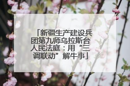 新疆生产建设兵团第九师乌拉斯台人民法庭：用“三调联动”解牛事