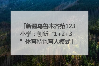 新疆乌鲁木齐第123小学：创新“1+2+3”体育特色育人模式