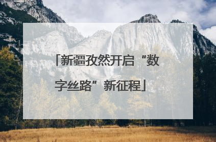 新疆孜然开启“数字丝路”新征程