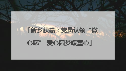 新乡获嘉：党员认领“微心愿” 爱心圆梦暖童心
