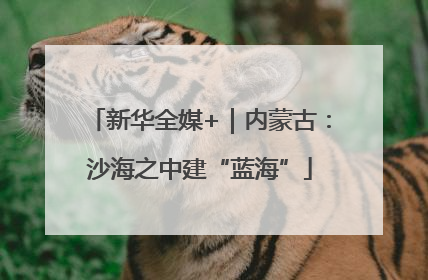 新华全媒+｜内蒙古：沙海之中建“蓝海”