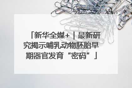 新华全媒+｜最新研究揭示哺乳动物胚胎早期器官发育“密码”