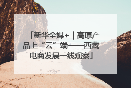 新华全媒+｜高原产品上“云”端——西藏电商发展一线观察