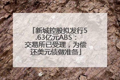 新城控股拟发行5.63亿元ABS：交易所已受理，为偿还美元债做准备