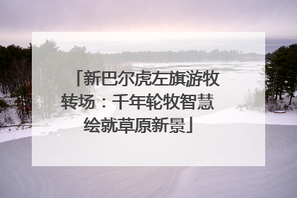 新巴尔虎左旗游牧转场：千年轮牧智慧绘就草原新景