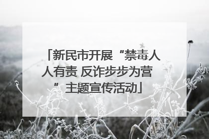 新民市开展“禁毒人人有责 反诈步步为营”主题宣传活动