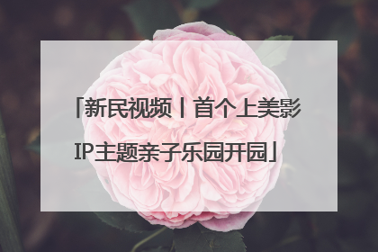 新民视频丨首个上美影IP主题亲子乐园开园