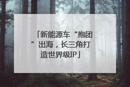 新能源车“抱团”出海，长三角打造世界级IP