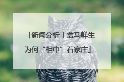 新闻分析丨盒马鲜生为何“相中”石家庄
