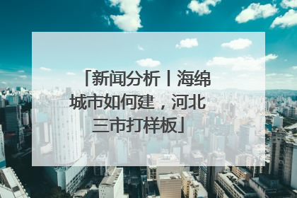 新闻分析丨海绵城市如何建，河北三市打样板