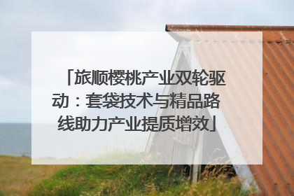 旅顺樱桃产业双轮驱动：套袋技术与精品路线助力产业提质增效